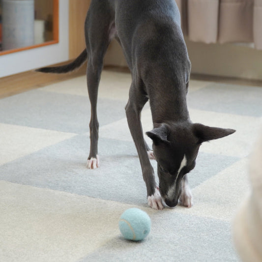 SmartFit Carpet - Cloudy Sky