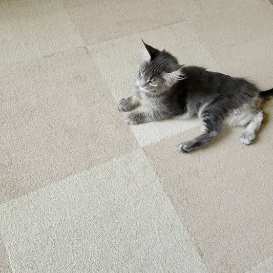 SmartFit Carpet -  Scented Candle