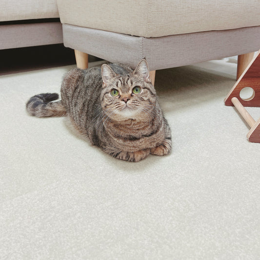 SmartFit Carpet - Dream Winter