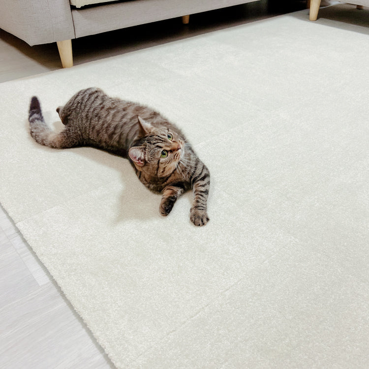 SmartFit Carpet - Dream Winter