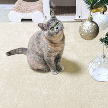 SmartFit Carpet - Autumn Hay