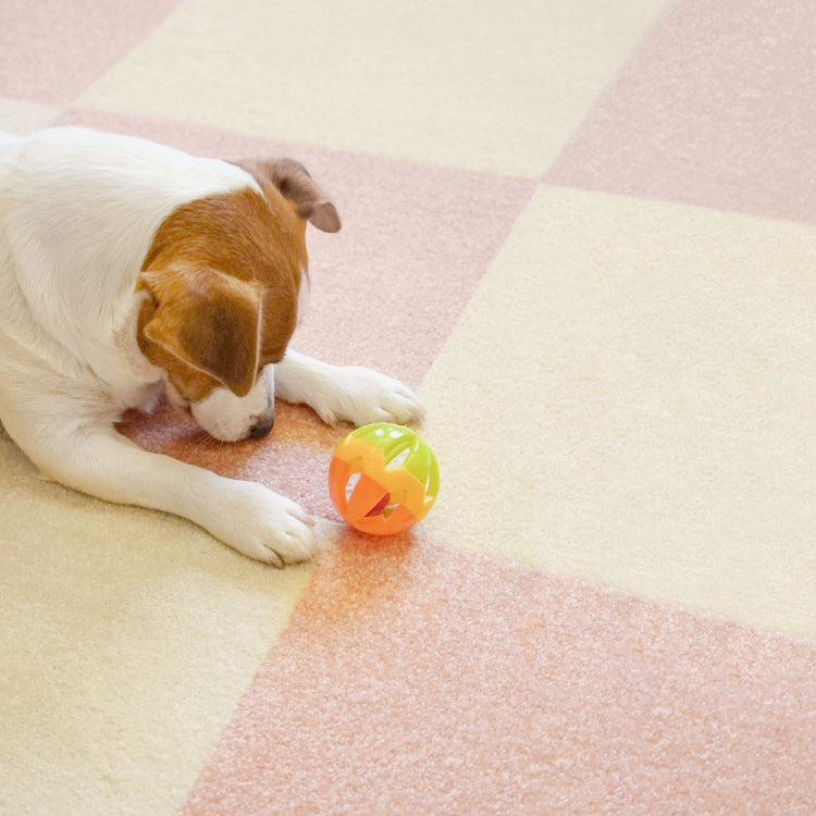 SmartFit Carpet - Autumn Hay