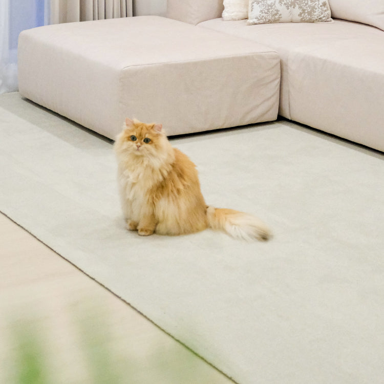 SmartFit Carpet -  Scented Candle
