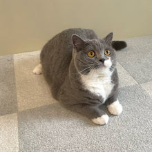 SmartFit Carpet - Cloudy Sky